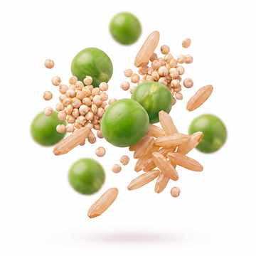 Shakeology Ingredients: Goodbye Cravings
