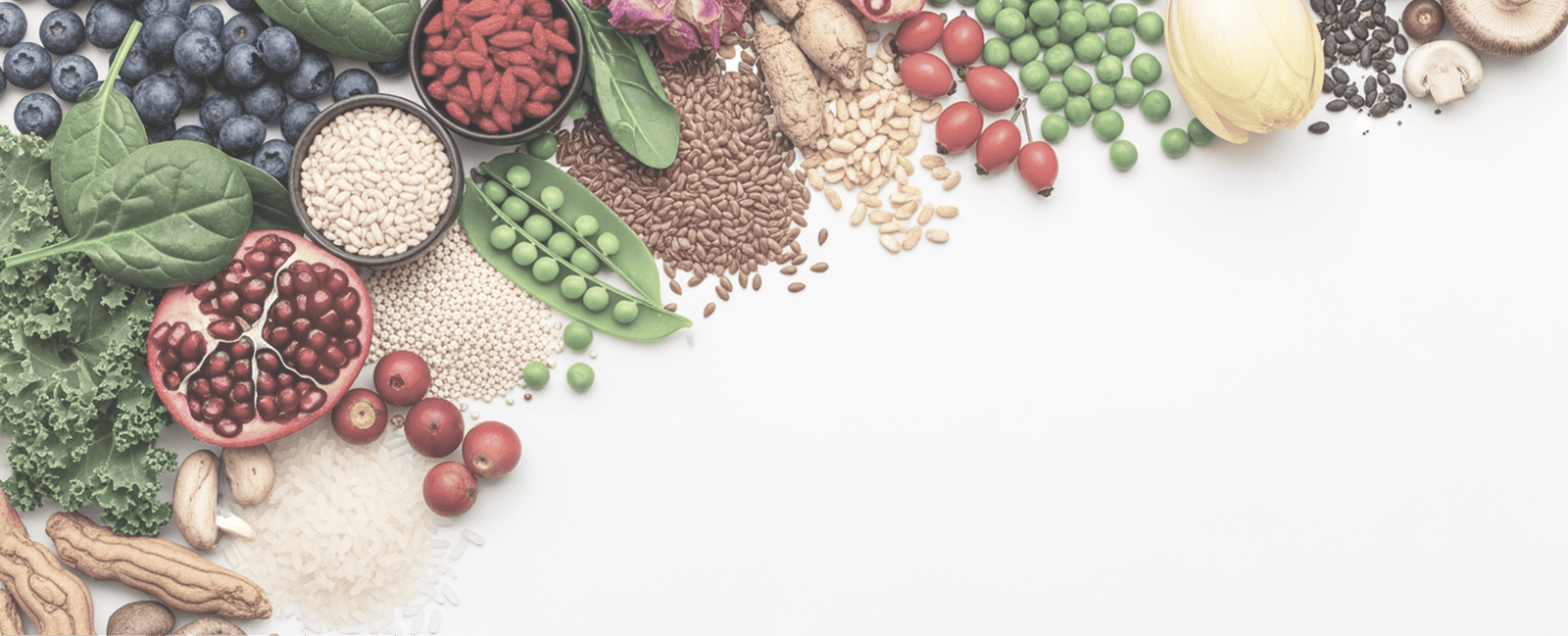 Shakeology ingredients