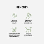 Benefits of The 4 Week Gut Protocol